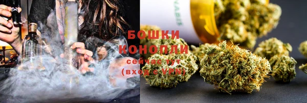 jwh Пересвет