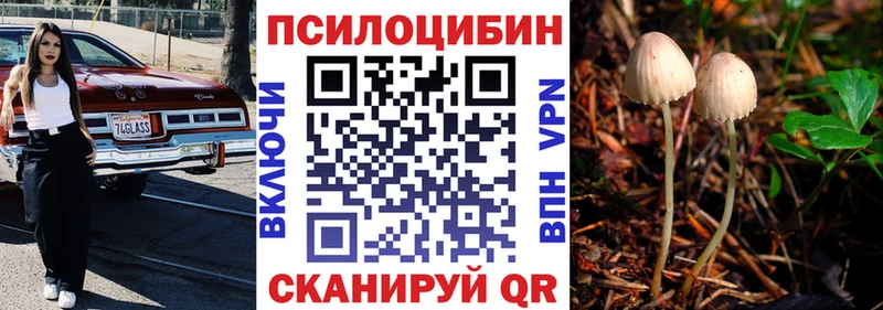 где найти наркотики Белая Холуница Псилоцибиновые грибы прущие грибы