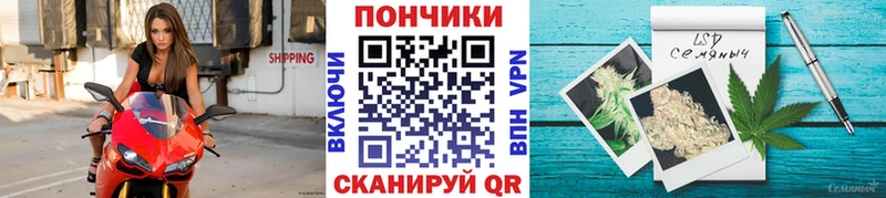 Бошки марихуана Bruce Banner  гидра ссылка  Белая Холуница 